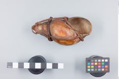 Foto (Seitenansicht) von Achatschnecke in Bastgeflecht (NHMW-ZOO-MO-0081100-ETH-138)